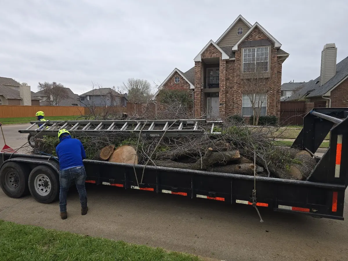 Expert Tree Pest Control with proper safety equipment in Lake In The Hills